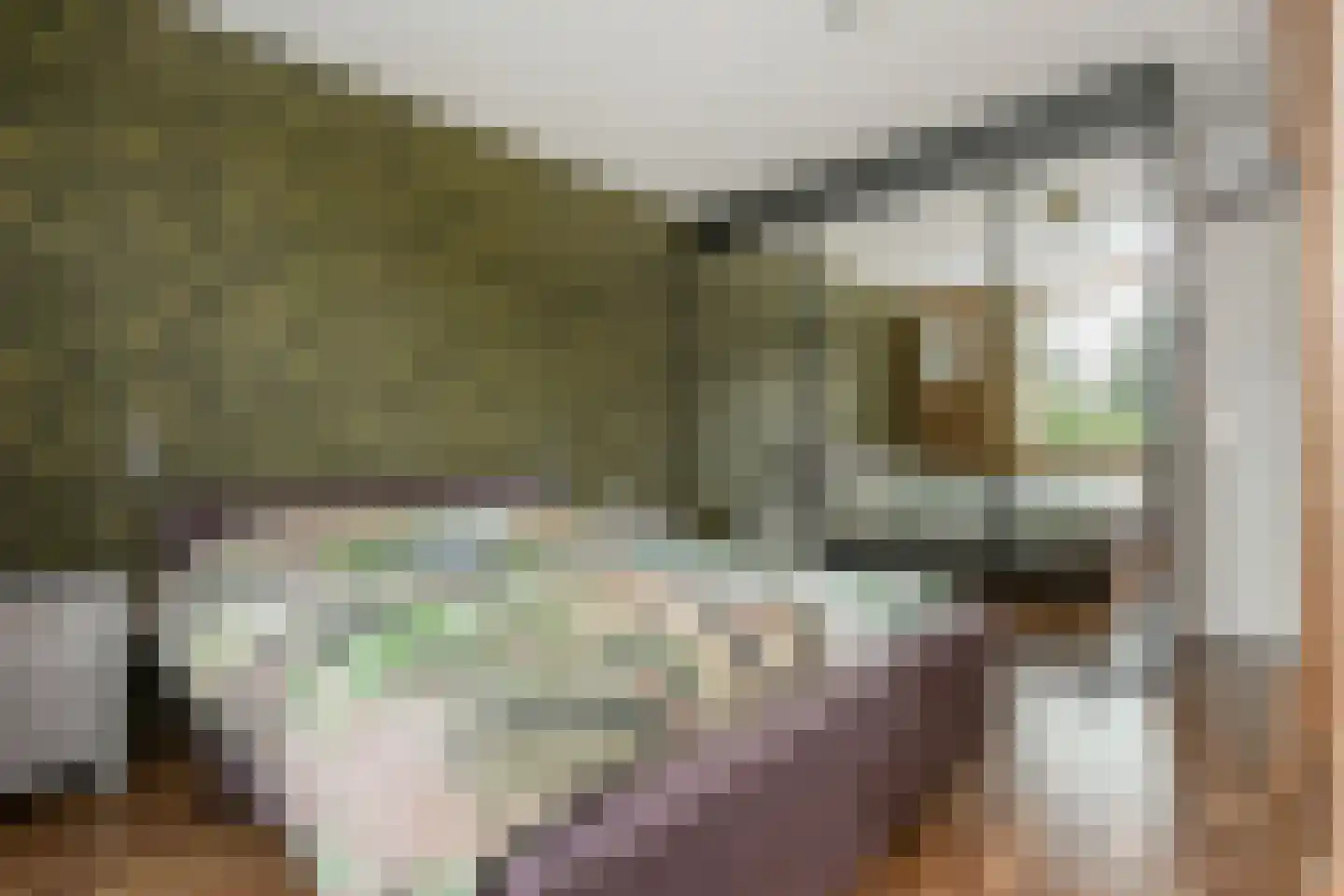 Freule Wttewaall van Stoetwegensingel 12 Pijnacker thumbnail 35