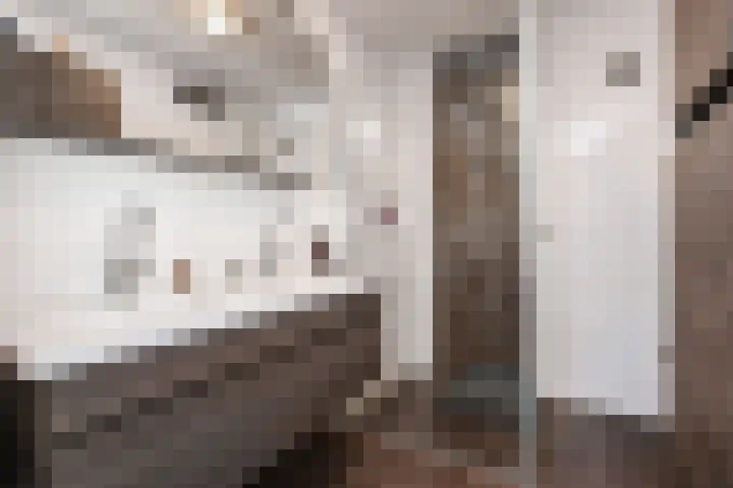 Freule Wttewaall van Stoetwegensingel 12 Pijnacker thumbnail 37