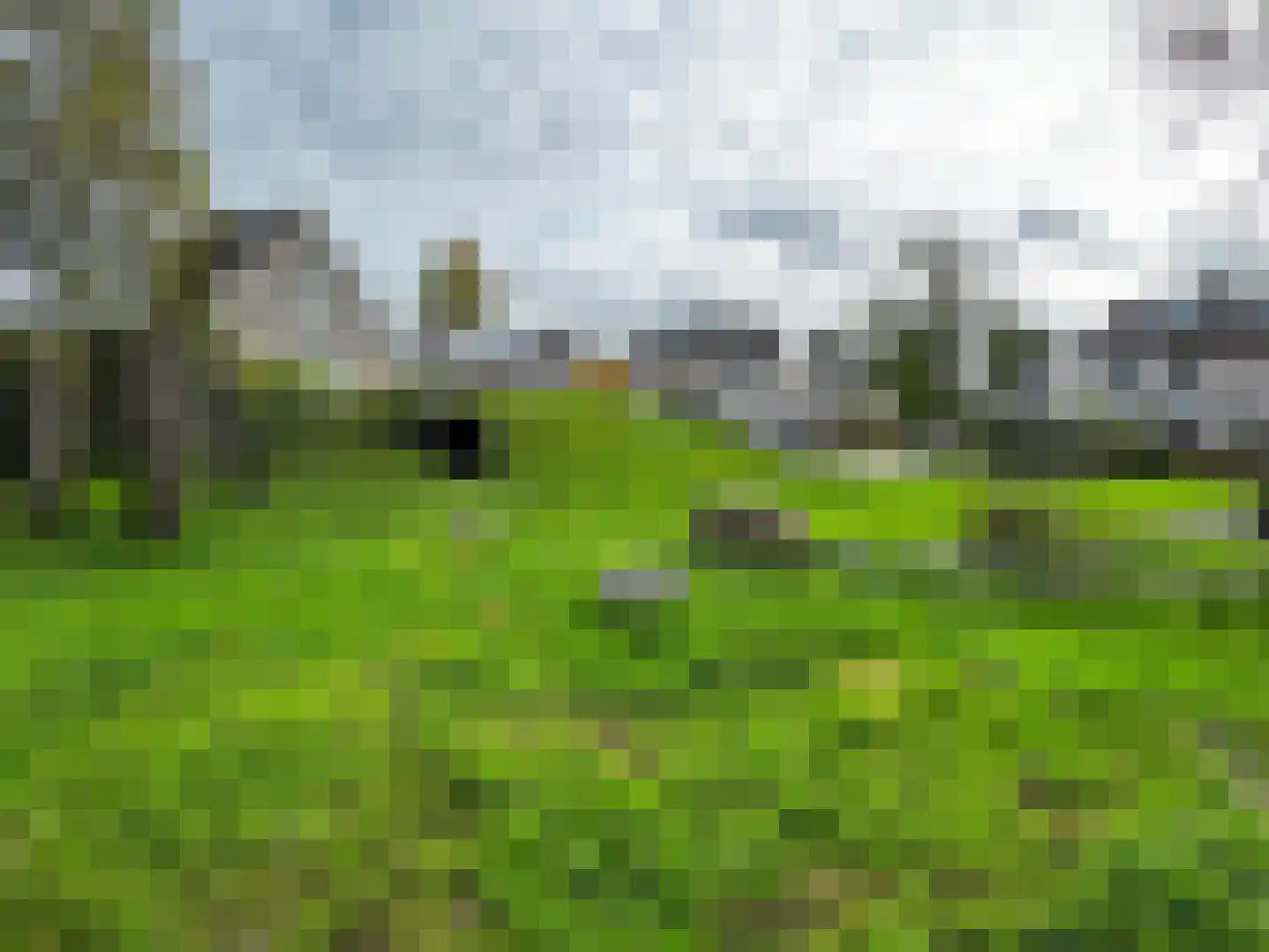 Freule Wttewaall van Stoetwegensingel 12 Pijnacker thumbnail 47