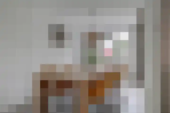 Freule Wttewaall van Stoetwegensingel 38 Pijnacker thumbnail 11