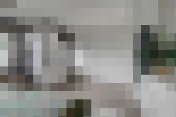 Freule Wttewaall van Stoetwegensingel 38 Pijnacker thumbnail 15
