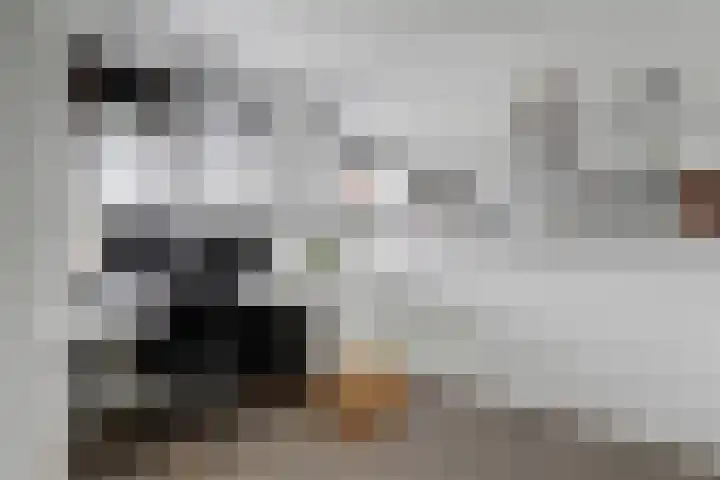 Freule Wttewaall van Stoetwegensingel 38 Pijnacker thumbnail 17