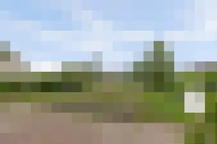 Freule Wttewaall van Stoetwegensingel 38 Pijnacker thumbnail 25