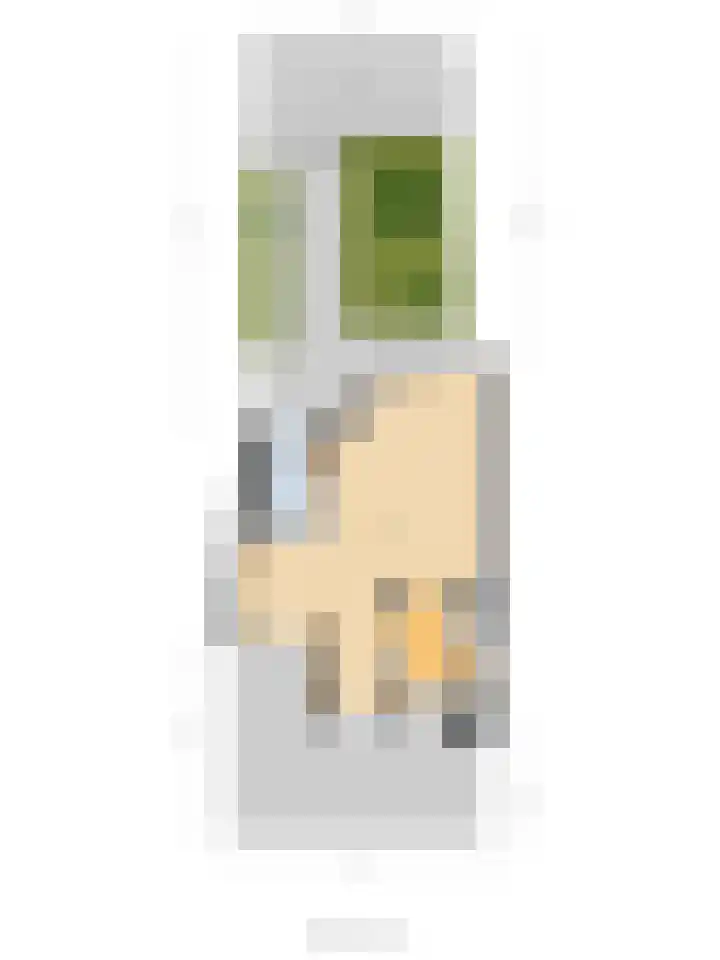 Freule Wttewaall van Stoetwegensingel 38 Pijnacker thumbnail 30