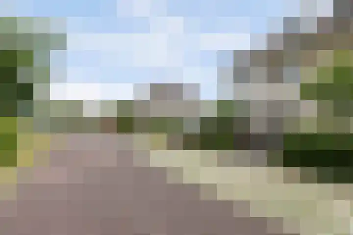 Freule Wttewaall van Stoetwegensingel 38 Pijnacker thumbnail 5
