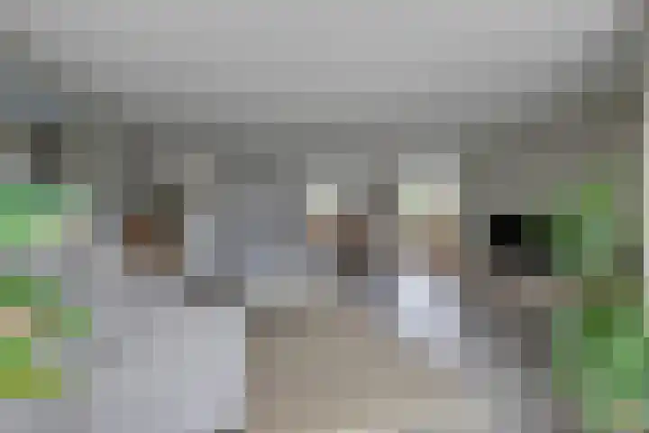 Freule Wttewaall van Stoetwegensingel 38 Pijnacker thumbnail 8