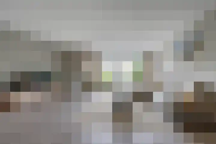 Freule Wttewaall van Stoetwegensingel 38 Pijnacker thumbnail 9