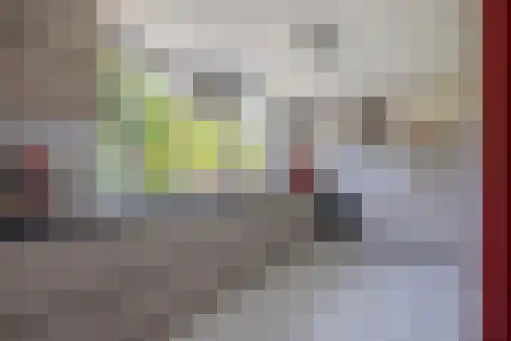 Freule Wttewaall van Stoetwegensingel 45 Pijnacker thumbnail 10