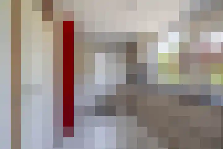 Freule Wttewaall van Stoetwegensingel 45 Pijnacker thumbnail 11