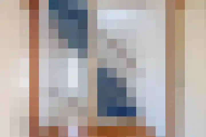 Freule Wttewaall van Stoetwegensingel 45 Pijnacker thumbnail 14