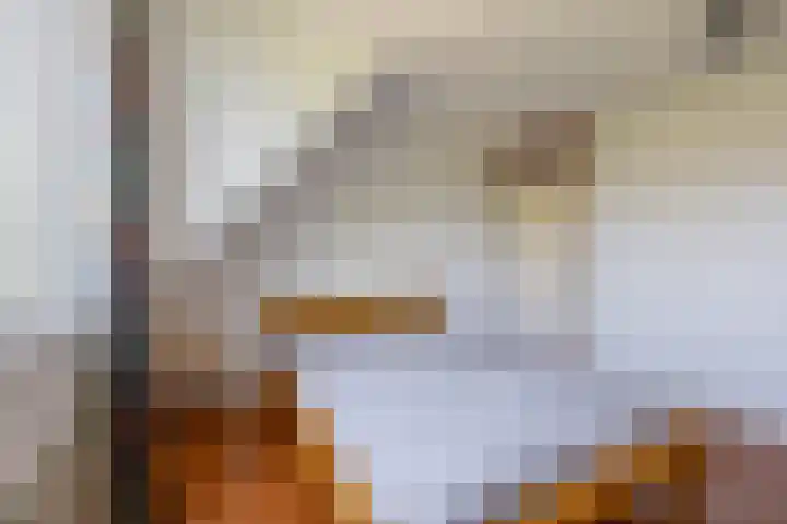 Freule Wttewaall van Stoetwegensingel 45 Pijnacker thumbnail 15
