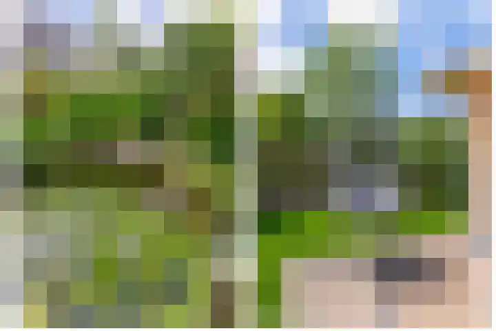 Freule Wttewaall van Stoetwegensingel 45 Pijnacker thumbnail 30