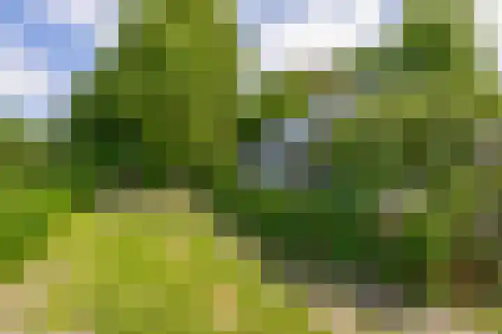 Freule Wttewaall van Stoetwegensingel 45 Pijnacker thumbnail 35