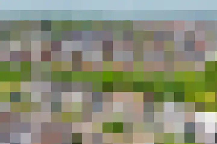 Freule Wttewaall van Stoetwegensingel 45 Pijnacker thumbnail 36