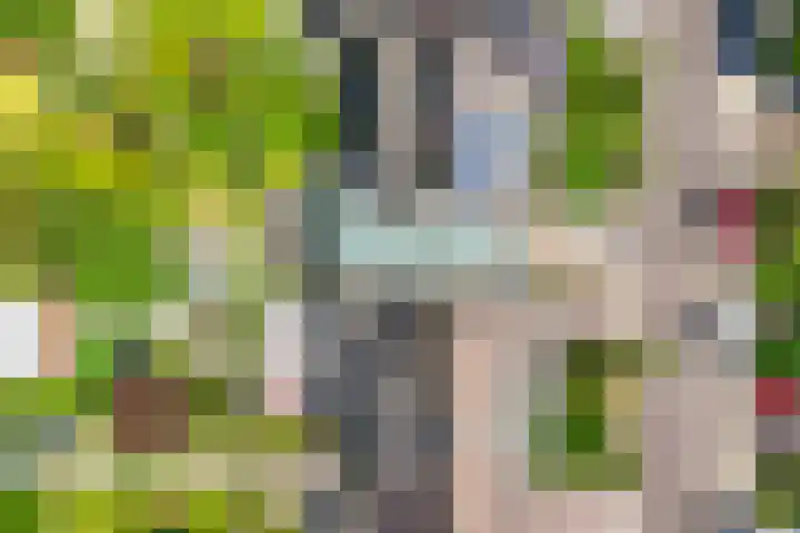 Freule Wttewaall van Stoetwegensingel 45 Pijnacker thumbnail 37