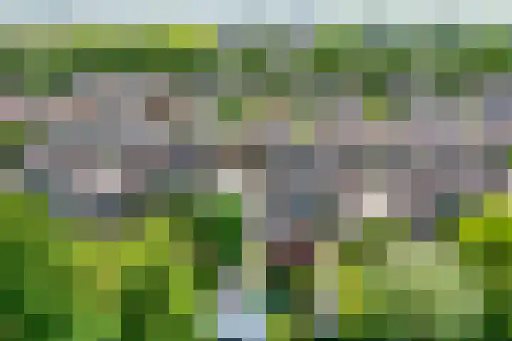 Freule Wttewaall van Stoetwegensingel 45 Pijnacker thumbnail 38