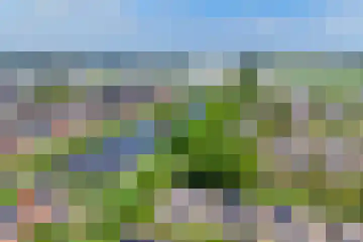 Freule Wttewaall van Stoetwegensingel 45 Pijnacker thumbnail 39