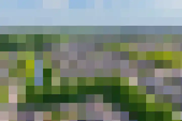 Freule Wttewaall van Stoetwegensingel 45 Pijnacker thumbnail 40