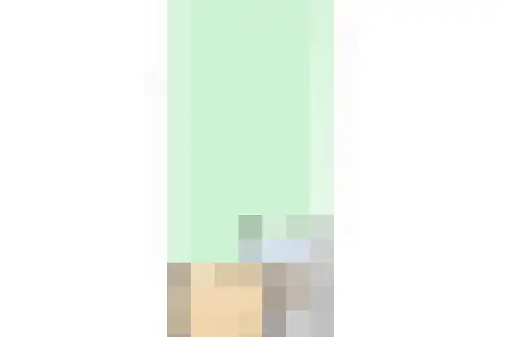 Freule Wttewaall van Stoetwegensingel 45 Pijnacker thumbnail 45