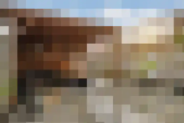 Freule Wttewaall van Stoetwegensingel 45 Pijnacker thumbnail 6