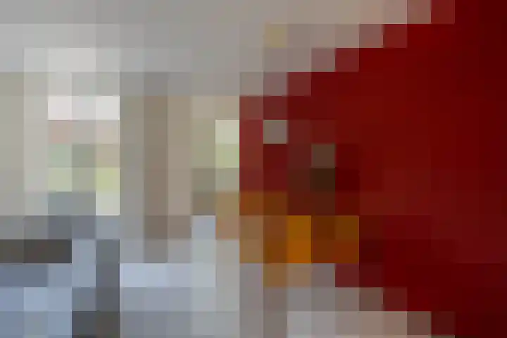 Freule Wttewaall van Stoetwegensingel 45 Pijnacker thumbnail 9