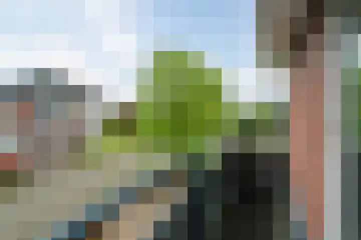 Freulestrjitte 19 Driezum thumbnail 24