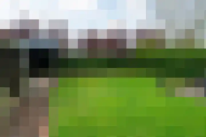 Freulestrjitte 19 Driezum thumbnail 34