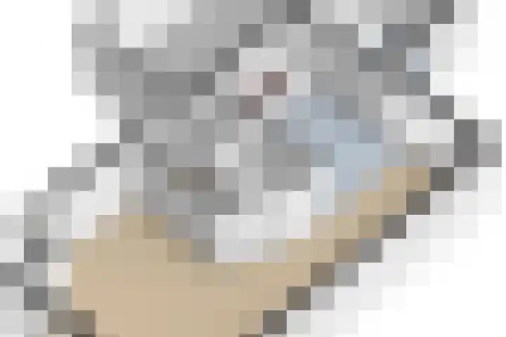 Freulestrjitte 19 Driezum thumbnail 44