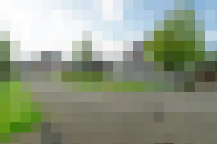 Freulestrjitte 19 Driezum thumbnail 6