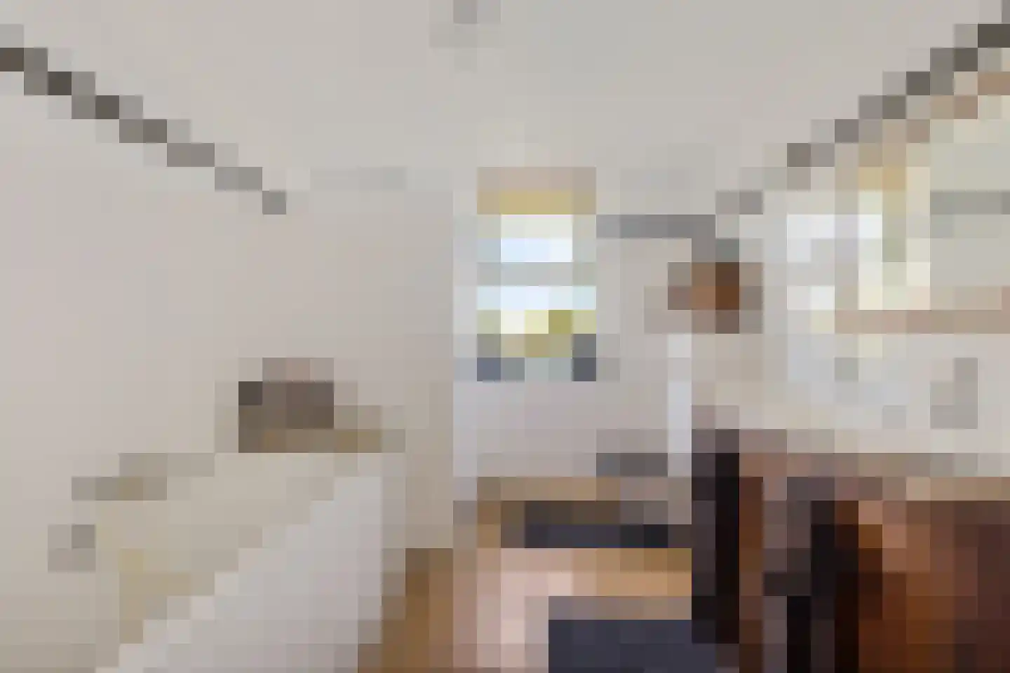 Freulestrjitte 24 Driezum thumbnail 15