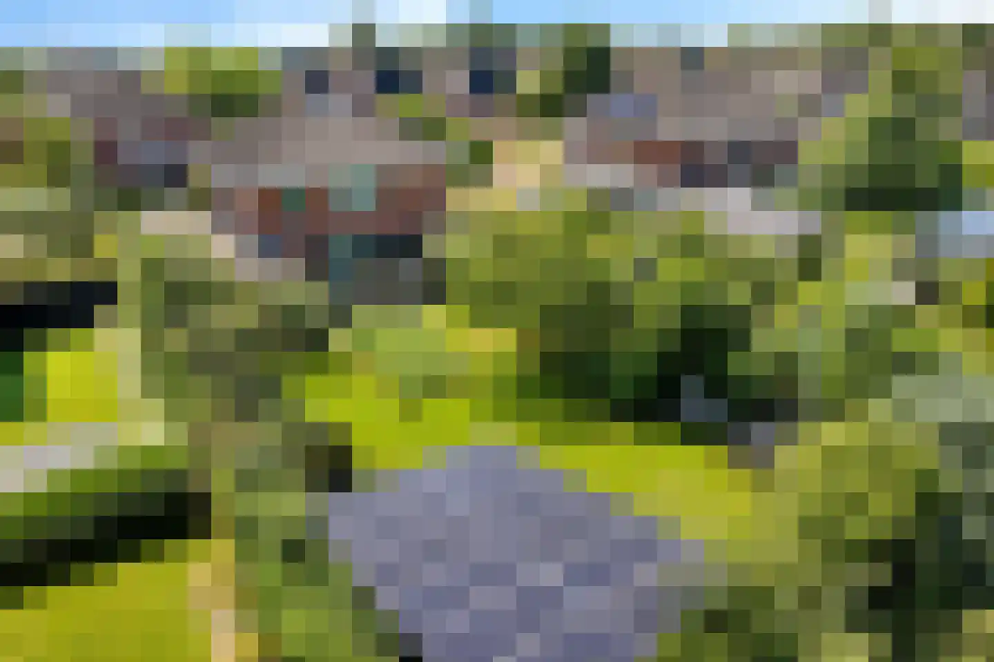 Freulestrjitte 24 Driezum foto 2