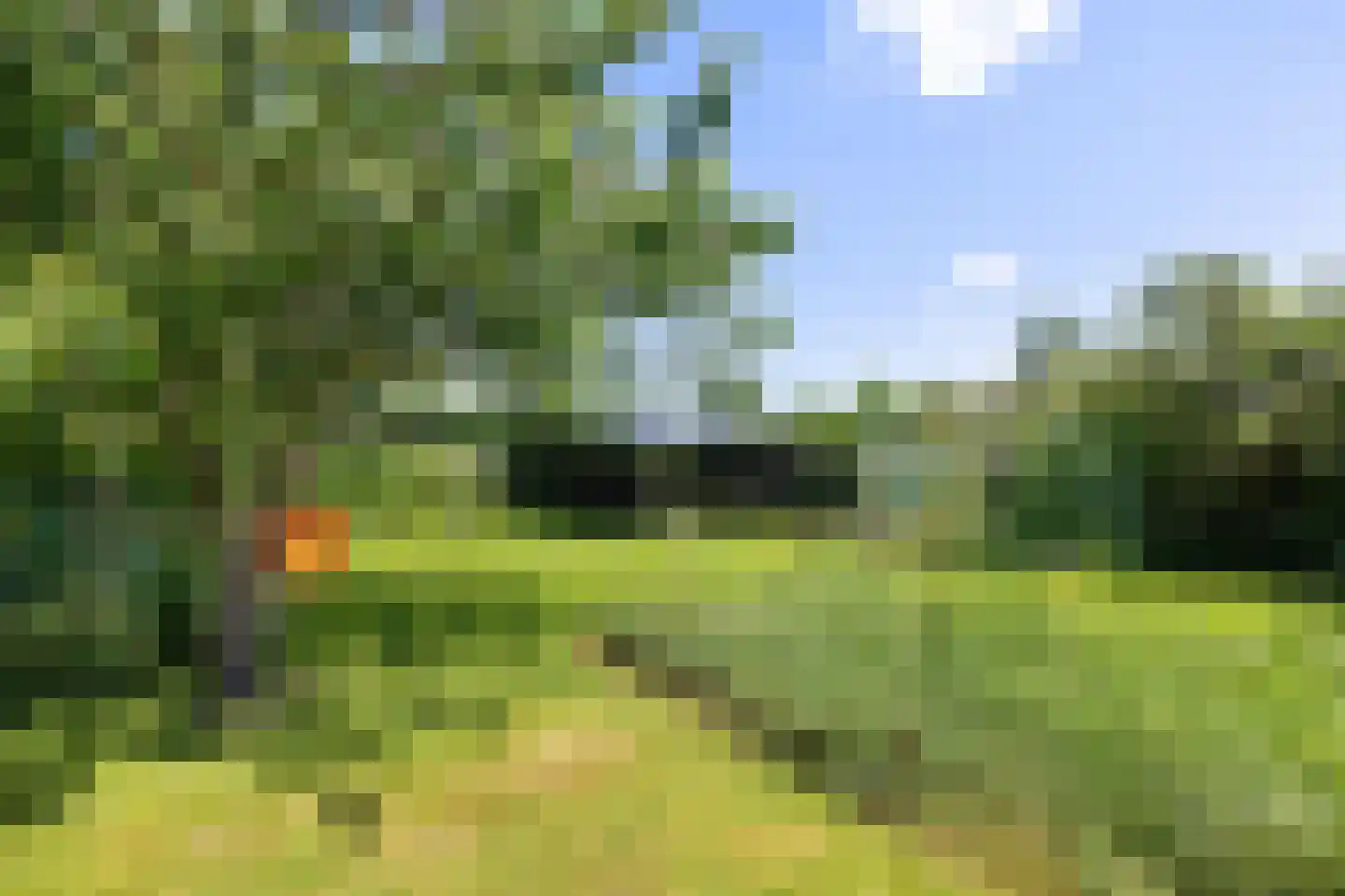 Freulestrjitte 24 Driezum thumbnail 25