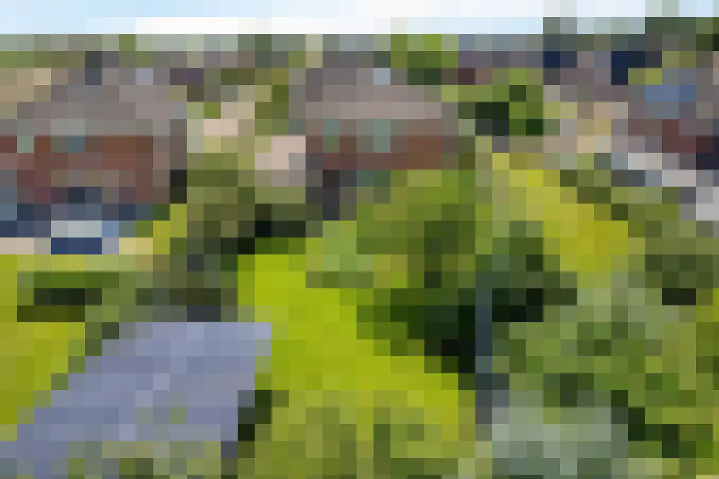 Freulestrjitte 24 Driezum thumbnail 27