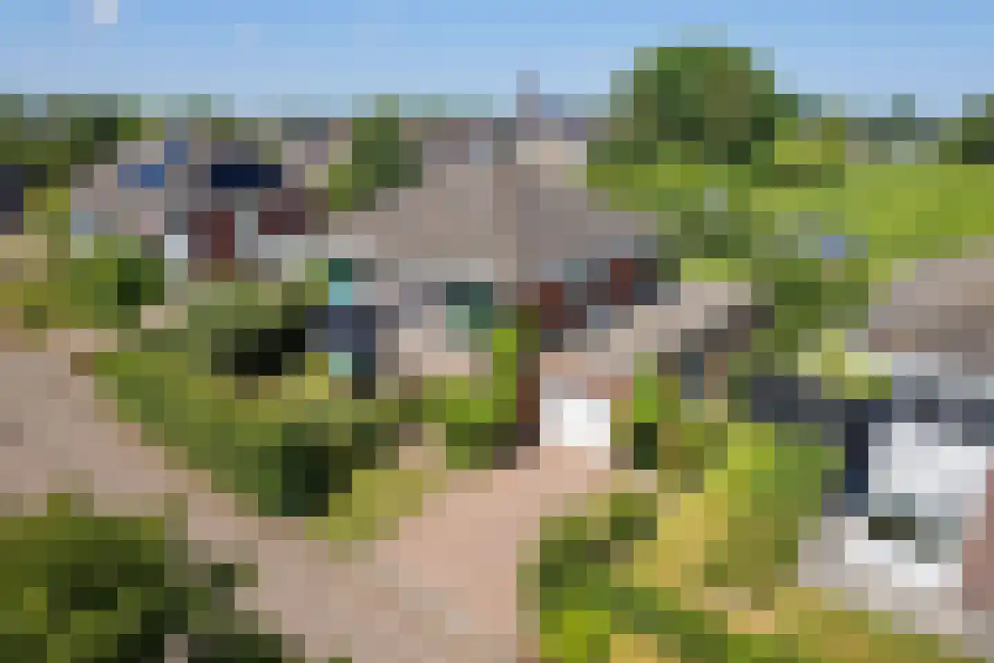 Freulestrjitte 24 Driezum foto 3