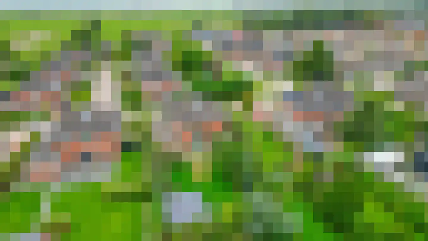 Freulestrjitte 24 Driezum thumbnail 54