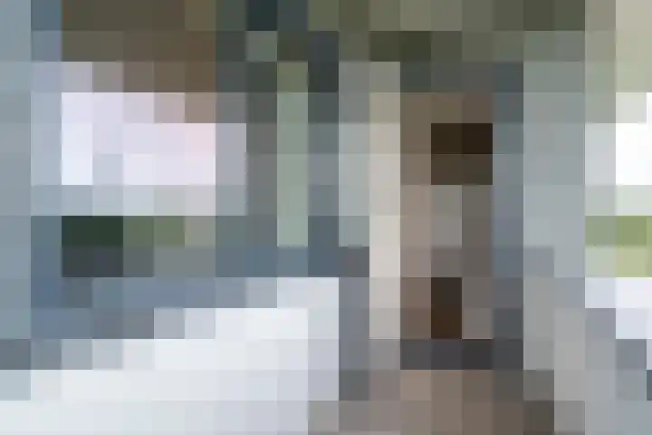 Freya 11 Blauwestad thumbnail 53
