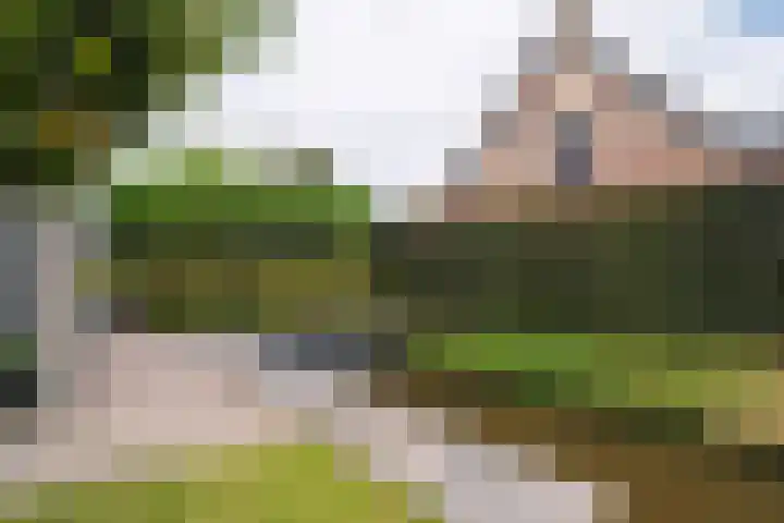Freya 11 Blauwestad thumbnail 59