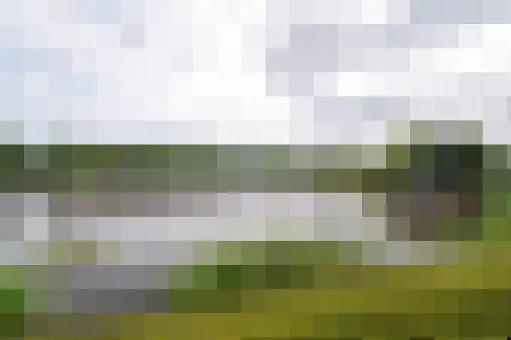 Freya 11 Blauwestad thumbnail 6
