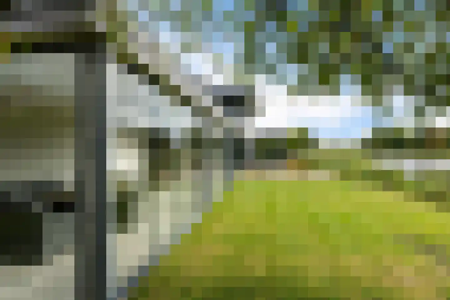 Freya 11 Blauwestad thumbnail 64