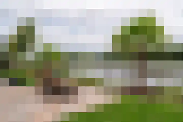 Freya 11 Blauwestad thumbnail 65