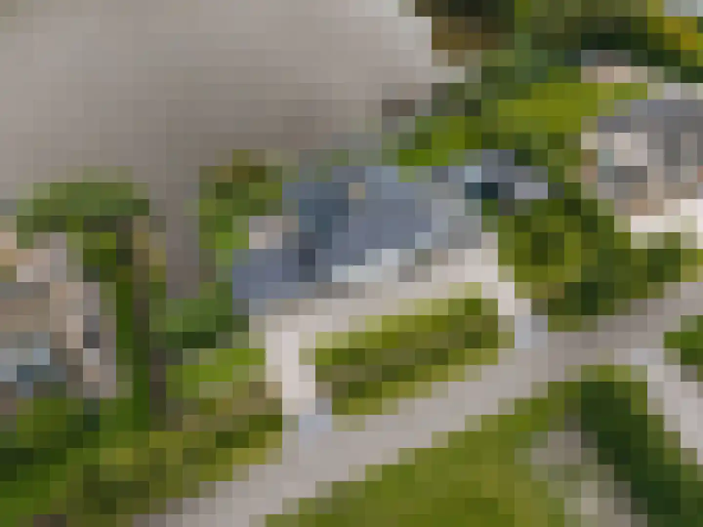 Freya 11 Blauwestad thumbnail 88