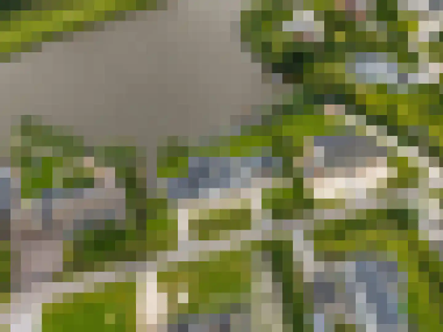 Freya 11 Blauwestad thumbnail 89
