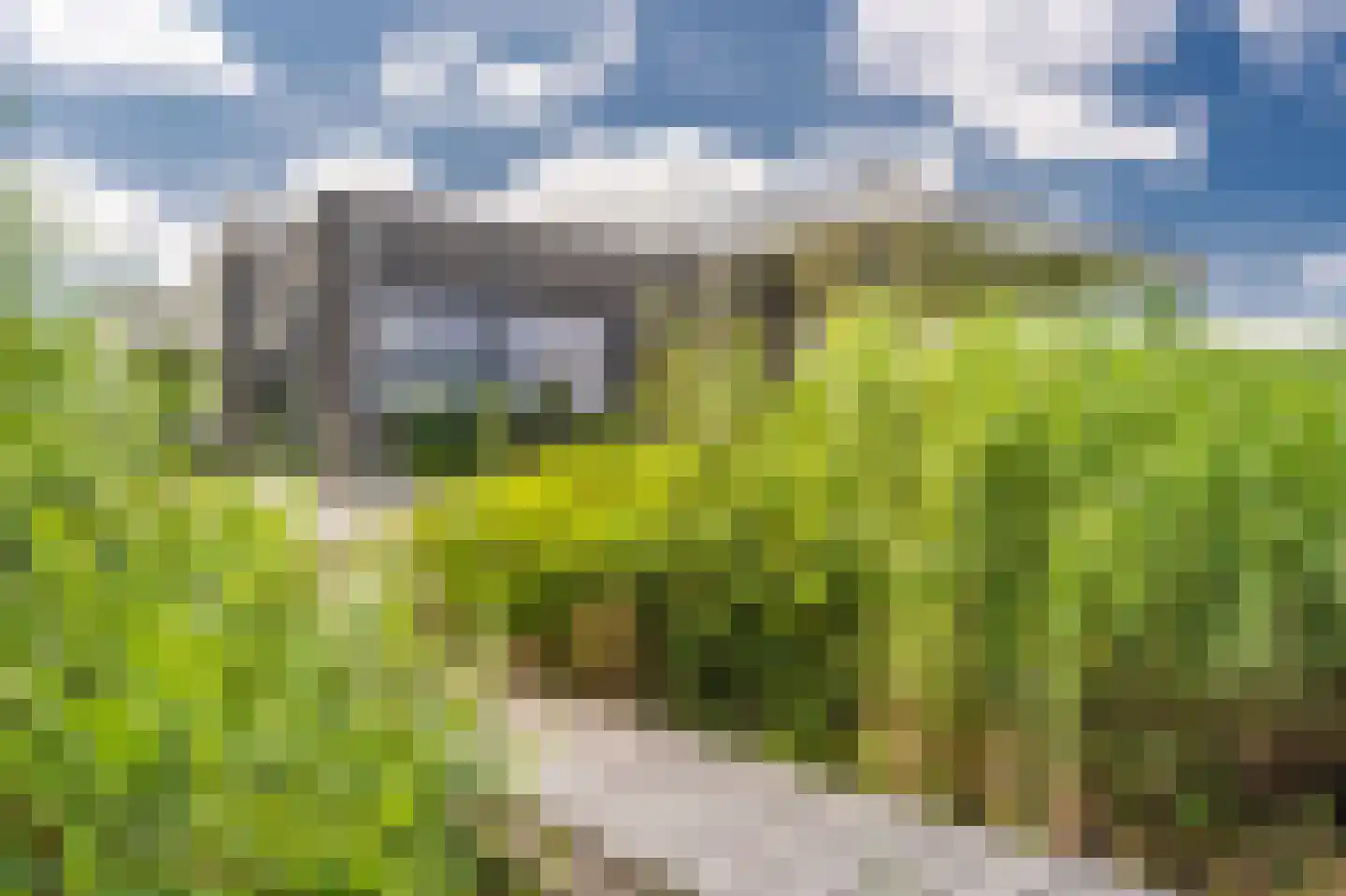 Freya 24 Blauwestad thumbnail 5