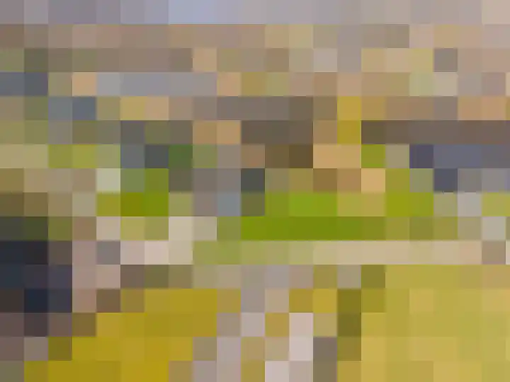 Freya 24 Blauwestad thumbnail 5