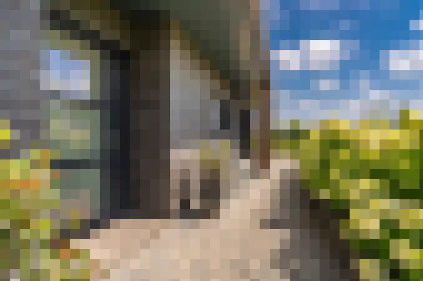Freya 24 Blauwestad thumbnail 69