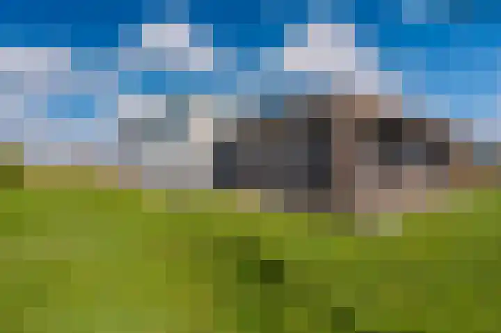 Freya 24 Blauwestad thumbnail 7