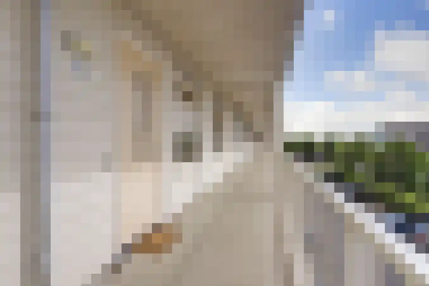 Freyjaplantsoen 15 Almere thumbnail 21