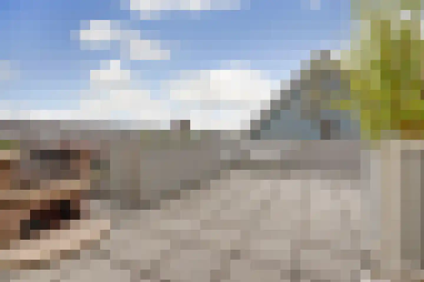 Freyjaplantsoen 15 Almere thumbnail 27