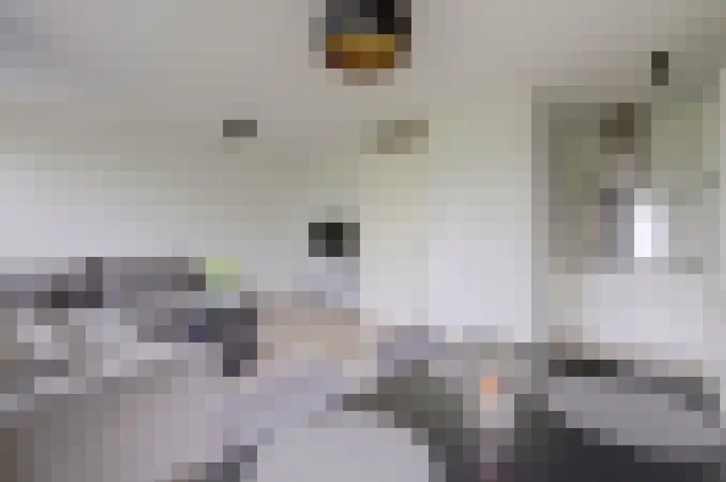 Freyjaplantsoen 15 Almere thumbnail 9
