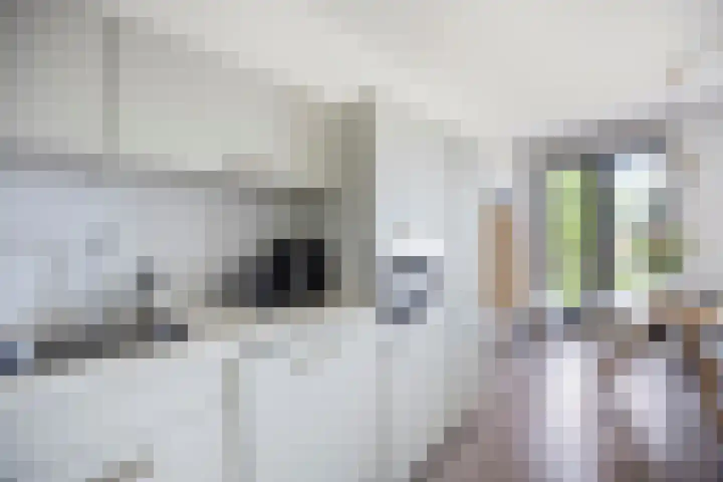 Freyjaplantsoen 27 Almere thumbnail 17